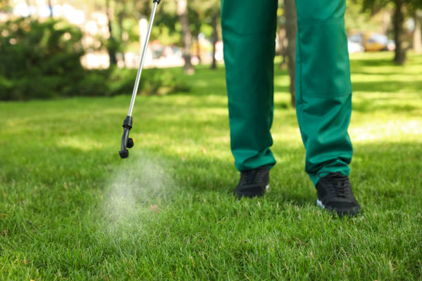 Best Local Pest Control Services  in East Dublin, GA