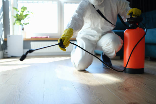 Best Bed Bug Extermination  in East Dublin, GA