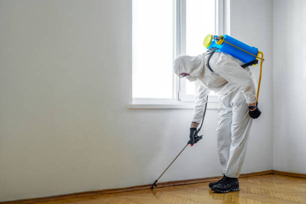 Best Pest Control Treatment  in East Dublin, GA