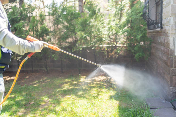 Pest Prevention Services in East Dublin, GA