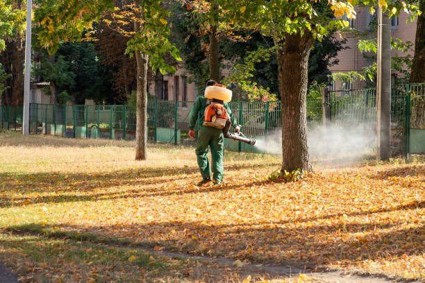 Reliable East Dublin, GA Pest Control Solutions