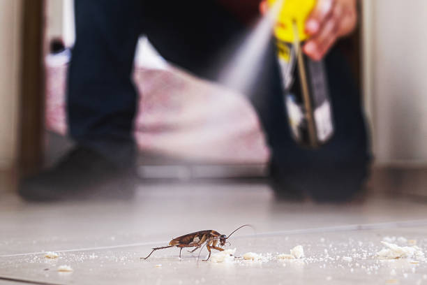 Pest Prevention Services in East Dublin, GA