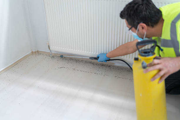 Best Exterminator Services  in East Dublin, GA