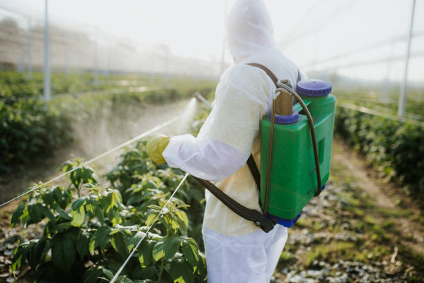 Best Pest Inspection Near Me  in East Dublin, GA